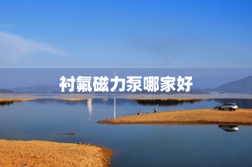 衬氟磁力泵哪家好