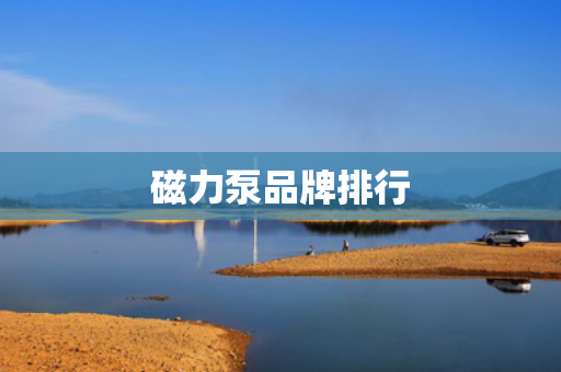 磁力泵品牌排行