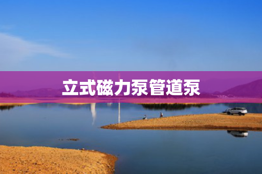 立式磁力泵管道泵