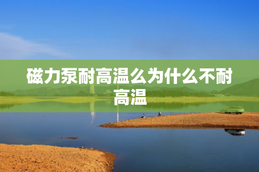 磁力泵耐高温么为什么不耐高温