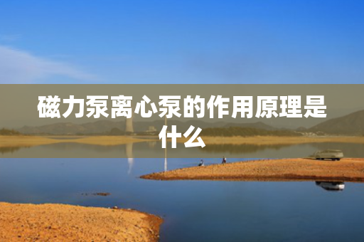 磁力泵离心泵的作用原理是什么