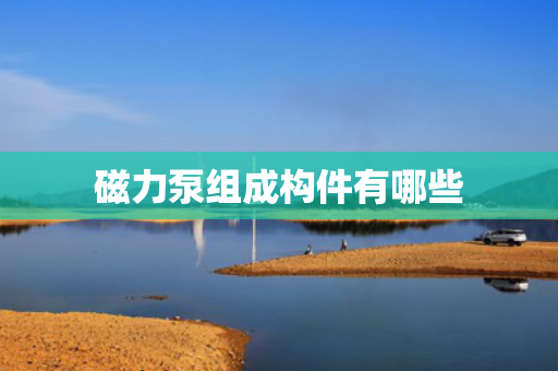 磁力泵组成构件有哪些