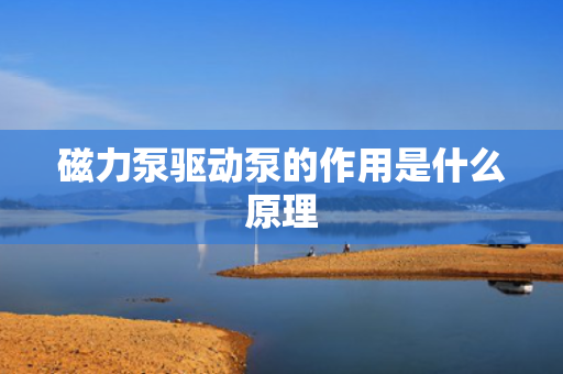 磁力泵驱动泵的作用是什么原理