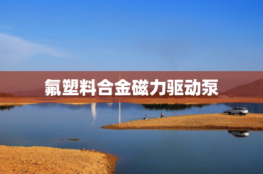 氟塑料合金磁力驱动泵