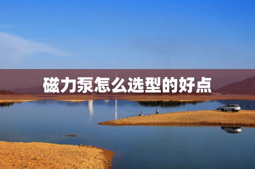 磁力泵怎么选型的好点