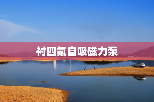 衬四氟自吸磁力泵