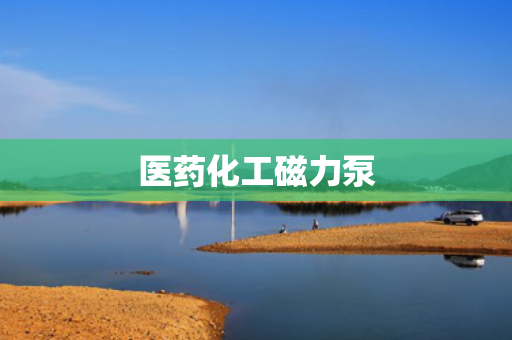 医药化工磁力泵