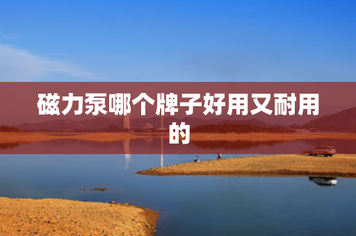 磁力泵哪个牌子好用又耐用的 磁力泵哪个牌子好用又耐用的