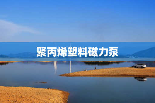 聚丙烯塑料磁力泵 聚丙烯塑料磁力泵