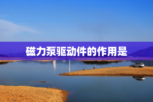 磁力泵驱动件的作用是