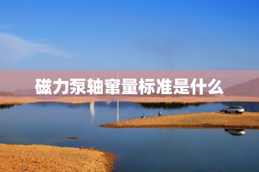 磁力泵轴窜量标准是什么