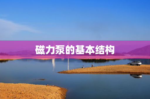 磁力泵的基本结构