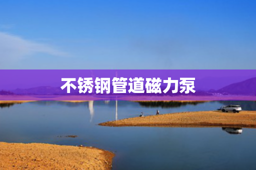 不锈钢管道磁力泵