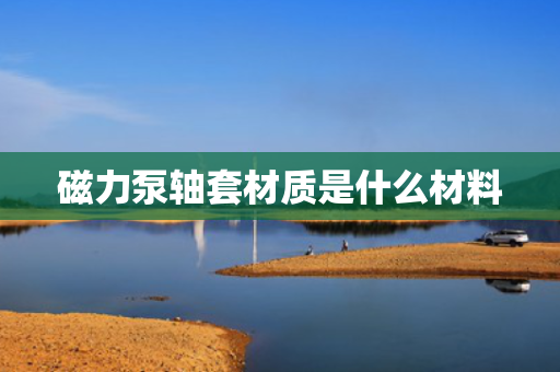 磁力泵轴套材质是什么材料