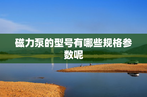 磁力泵的型号有哪些规格参数呢