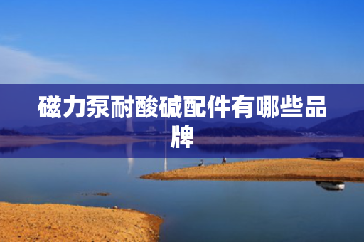 磁力泵耐酸碱配件有哪些品牌