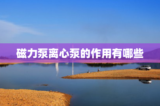 磁力泵离心泵的作用有哪些