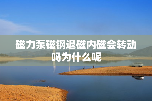 磁力泵磁钢退磁内磁会转动吗为什么呢