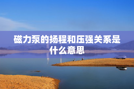 磁力泵的扬程和压强关系是什么意思 磁力泵的扬程和压强关系是什么意思