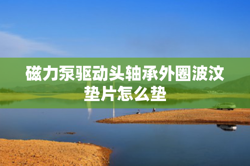 磁力泵驱动头轴承外圈波汶垫片怎么垫