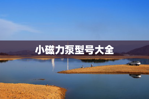 小磁力泵型号大全 小磁力泵型号大全