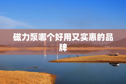 磁力泵哪个好用又实惠的品牌 磁力泵哪个好用又实惠的品牌