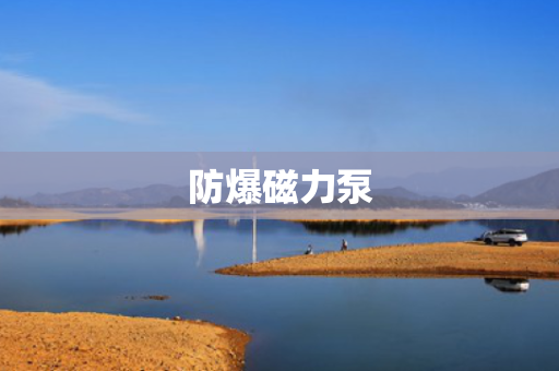 防爆磁力泵 防爆磁力泵