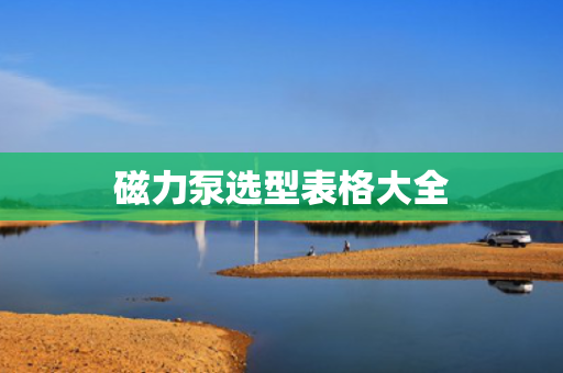 磁力泵选型表格大全