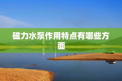 磁力水泵作用特点有哪些方面