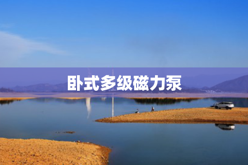 卧式多级磁力泵