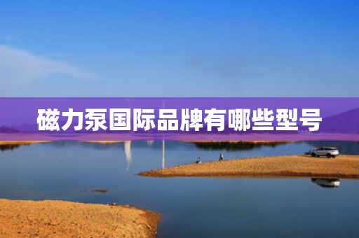 磁力泵国际品牌有哪些型号 磁力泵国际品牌有哪些型号