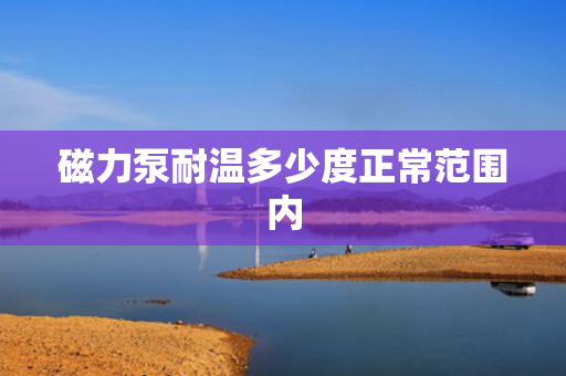 磁力泵耐温多少度正常范围内 磁力泵耐温多少度正常范围内