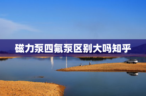 磁力泵四氟泵区别大吗知乎 磁力泵四氟泵区别大吗知乎