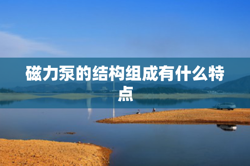 磁力泵的结构组成有什么特点