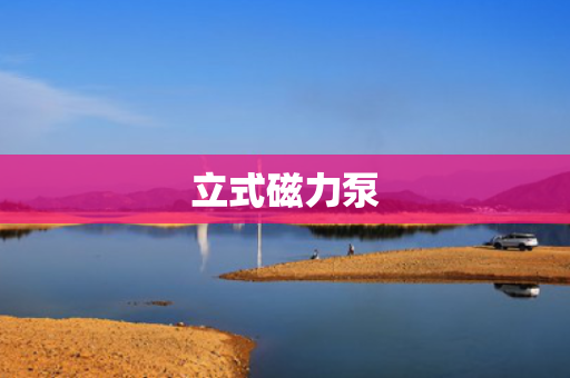 立式磁力泵 立式磁力泵