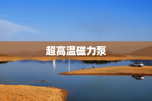 超高温磁力泵 超高温磁力泵