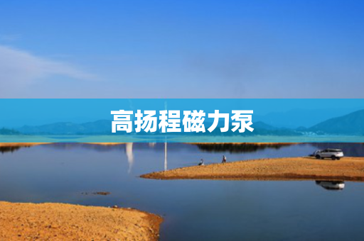 高扬程磁力泵 高扬程磁力泵