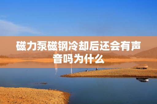 磁力泵磁钢冷却后还会有声音吗为什么
