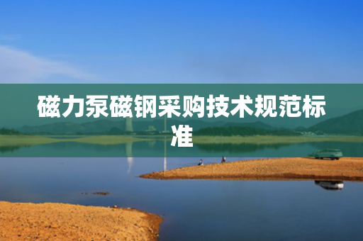 磁力泵磁钢采购技术规范标准 磁力泵磁钢采购技术规范标准