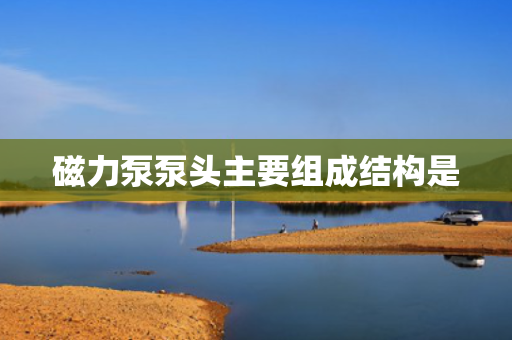 磁力泵泵头主要组成结构是 磁力泵泵头主要组成结构是