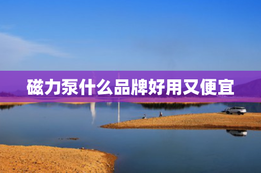 磁力泵什么品牌好用又便宜 磁力泵什么品牌好用又便宜