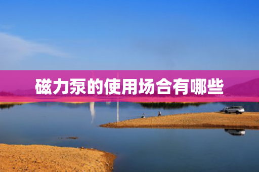 磁力泵的使用场合有哪些