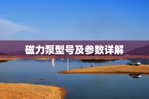 磁力泵型号及参数详解 磁力泵型号及参数详解