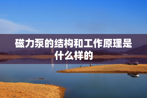 磁力泵的结构和工作原理是什么样的