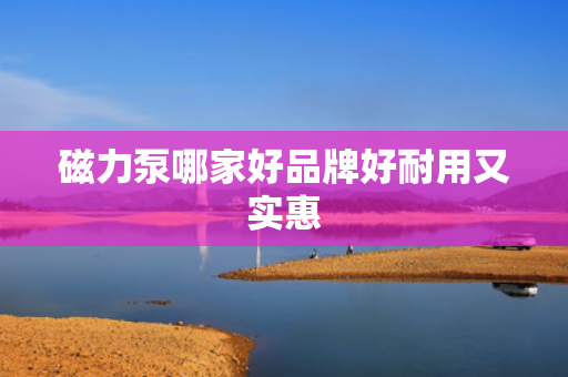 磁力泵哪家好品牌好耐用又实惠