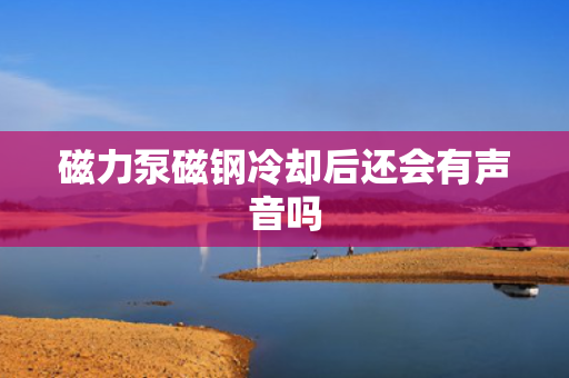 磁力泵磁钢冷却后还会有声音吗