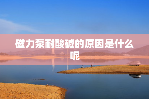 磁力泵耐酸碱的原因是什么呢 磁力泵耐酸碱的原因是什么呢