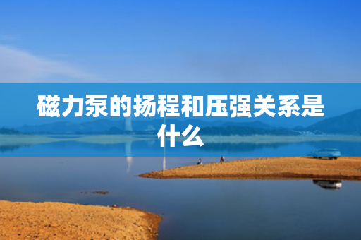 磁力泵的扬程和压强关系是什么 磁力泵的扬程和压强关系是什么