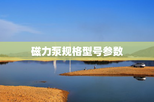 磁力泵规格型号参数