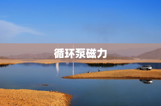 循环泵磁力 循环泵磁力